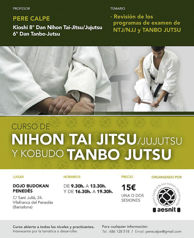 CURSO NIHON TAI JITSU / JUJUTSU / KOBUDO TAMBO JITSU