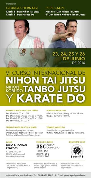 VI Curso Internacional Nihon Tai-jitsu Nihon Tanbo Jutsu y Karate Do