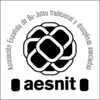 Aesnit