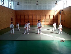 NUEVO TATAMI EN BUDOKAN KASA ALBINYANA CEDIDO POR AESNIT